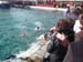 theofania_2010 023